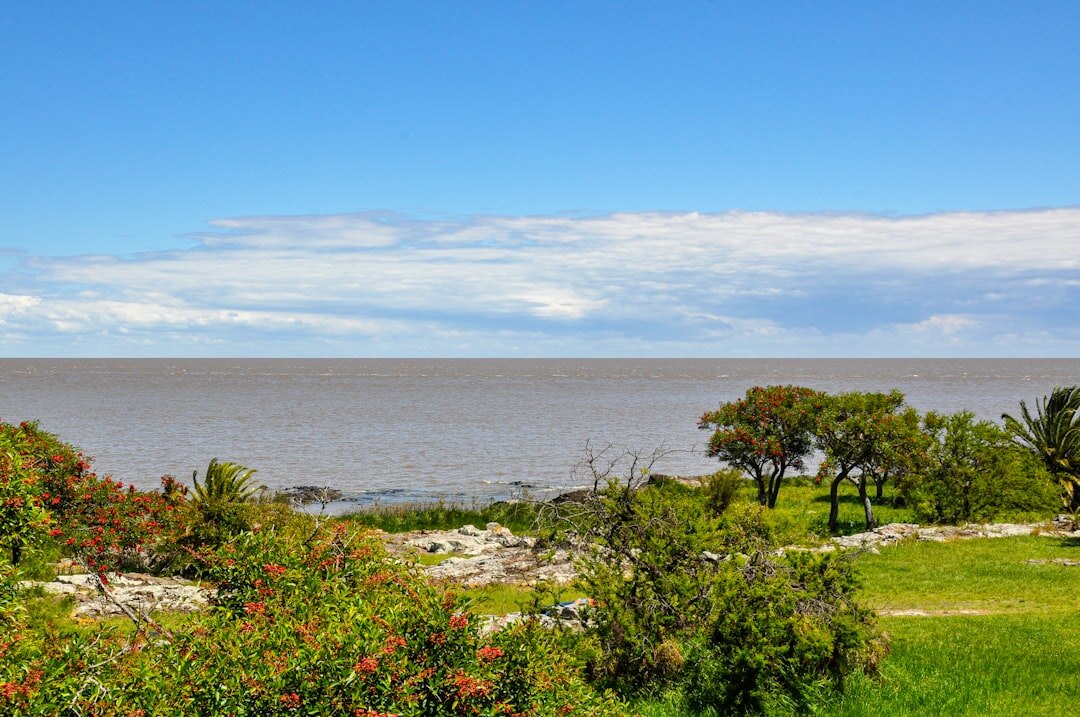 Coastal road near Jose Ignacio with a classic convertible car